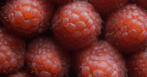Raspberry close up studio shot over rotating Stock-Footage 324842525