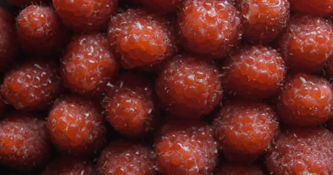 Raspberry close up studio shot over rotating Stock-Footage 324843315