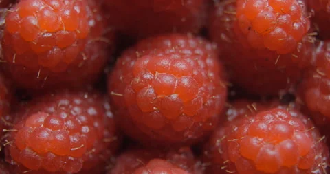Raspberry close up studio shot over rotating Stock-Footage 324843716