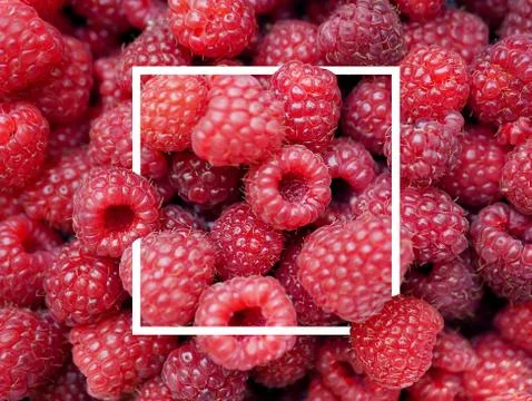 Raspberry close-up with a white frame. Raspberry background Fotos Stock