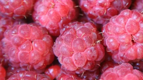 Raspberry closeup 스톡 동영상 51863767