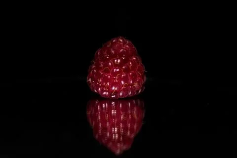 Raspberry closeup. Isolated on black. Selective focus Stock Photos