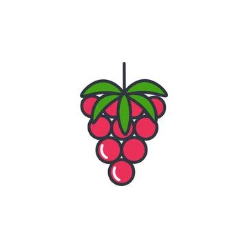 Raspberry color line icon vector illustration Stock Illustration