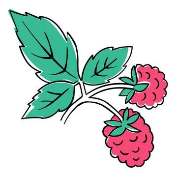Raspberry Coloring Book elements. Black countour on white background. Vector Stock Illustration