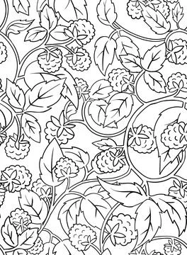 Raspberry Coloring Book seamless Pattern. Black countour on white background Stock Illustration