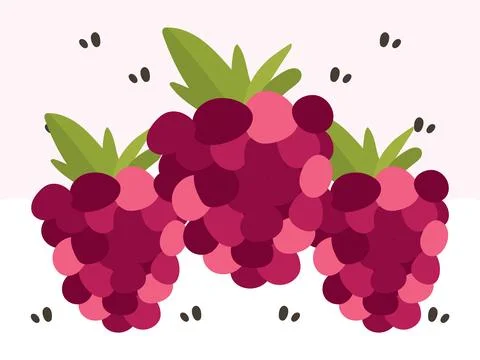 Raspberry Concept Illustration Style Illustrazione stock