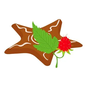Raspberry dessert icon isometric vector. Raspberry branch and gingerbread cookie Stock Illustration