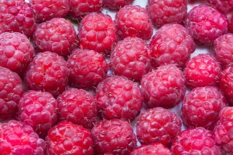 Raspberry dessert Stock Photos
