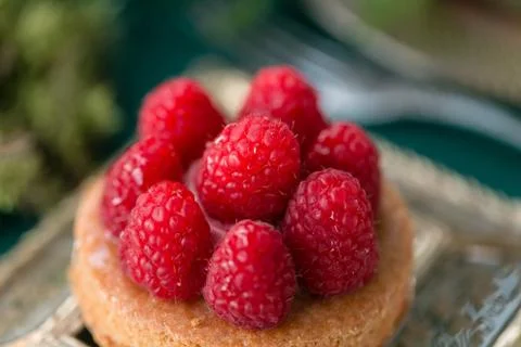 Raspberry dessert. table setting. Wedding decor in the magic forest for a loving Stock Photos