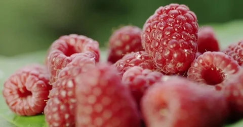 Raspberry displayed nicely on a green leave Video stock 76353898