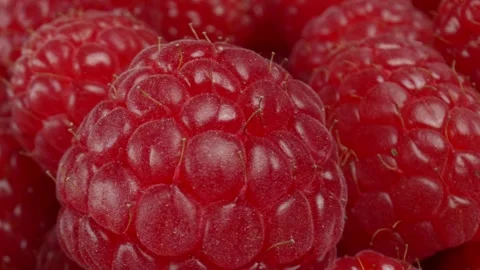 Raspberry in a dolly macro shot Stock Footage 249967792