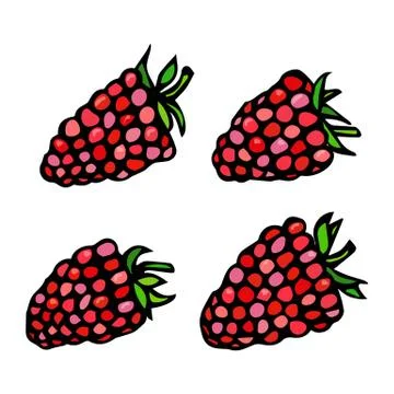 Raspberry Doodle Style Vector Sketch, Isolated on White Background. 스톡 일러스트