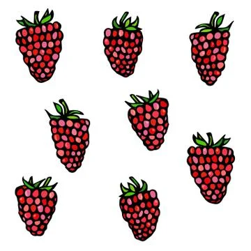 Raspberry Doodle Style Vector Sketch, Isolated on White Background. Stock Illustration