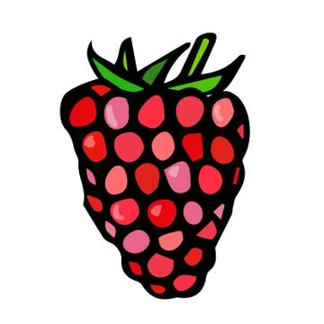 Raspberry Doodle Style Vector Sketch, Isolated on White Background. Stock Illustration