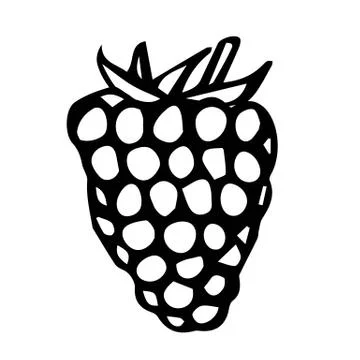 Raspberry Doodle Style Vector Sketch, Isolated on White Background. Illustrazione stock