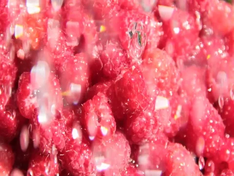 Raspberry dripping water Stock Footage 76962034