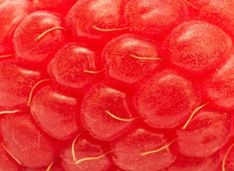 Raspberry extreme macro Stock Photos