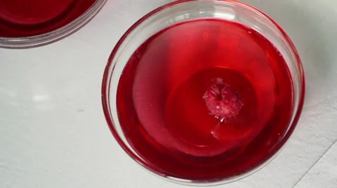 Raspberry falling into jelly HD Stock Footage 39609395