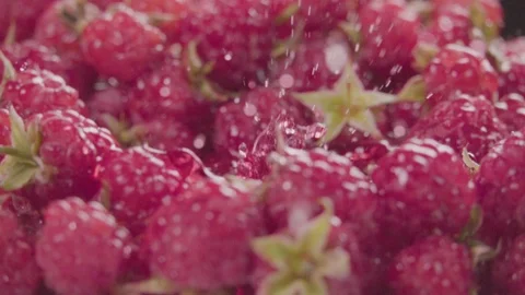 Raspberry falling in juice with splash between raspberries. Slow motion. Stock Footage 92678530