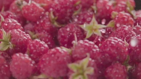Raspberry falling in juice with splash between raspberries. Slow motion. Stock Footage 92678538