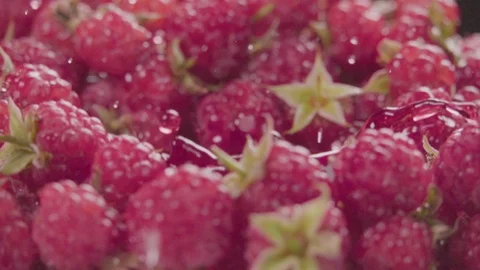 Raspberry falling in juice with splash between raspberries. Slow motion. Stock Footage 92678576