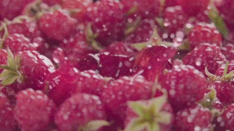 Raspberry falling in juice with splash between raspberries. Slow motion. Stock Footage 92678718