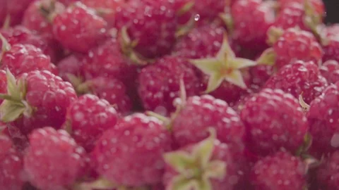 Raspberry falling in juice with splash between raspberries. Slow motion. Stock Footage 92678759