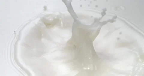 Raspberry falling into milk or cream with splash in super slow motion 1000 fps Stock Footage 344849598