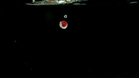 Raspberry falling in water and floating 動画素材 22514798