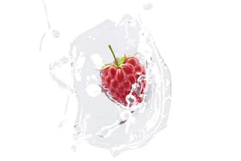 Raspberry falling in water splash mockup, depth of field 스톡 일러스트