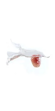 Raspberry falls deeply under water with a big splash. Stock Photos