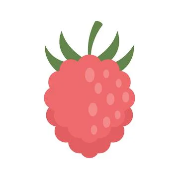 Raspberry fazz icon flat isolated vector Illustrazione stock