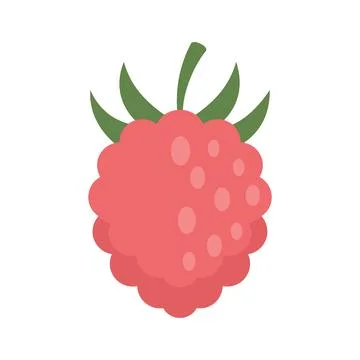 Raspberry fazz icon flat isolated Stock Illustration