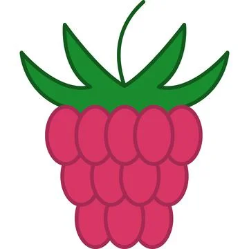 Raspberry Filled Outline Icon Fruit Vector Illustrazione stock