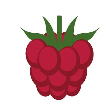 Raspberry flat color art illustration Stockillustratie