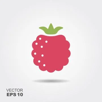 Raspberry flat icon with shadow Stock Illustration