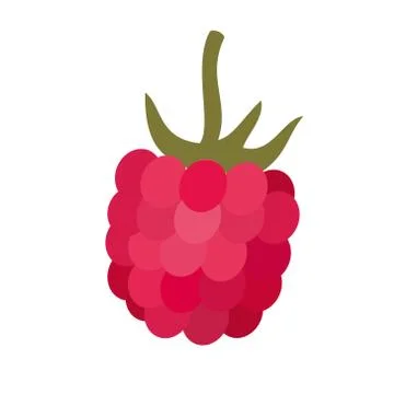 Raspberry flat simple illustration Illustrazione stock