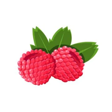 Raspberry Flat Vector Sticker Stockillustratie