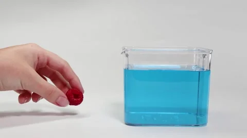 Raspberry Floating Experiment in Blue Liquid 動画素材 308502057