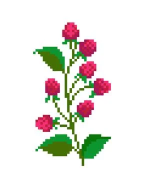 Raspberry flower pixel image. cross stitch pattern vector illustration. 스톡 일러스트