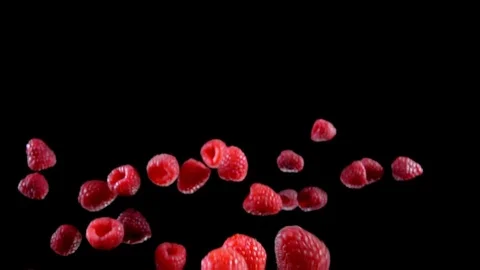 Raspberry fly on a black background Video stock 105573802
