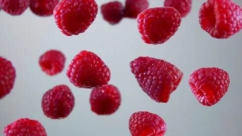 Raspberry fly on a white background Video stock 105573967