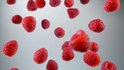 Raspberry fly on a white background Video stock 105574069