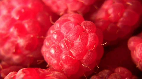 Raspberry Stock Footage 263407