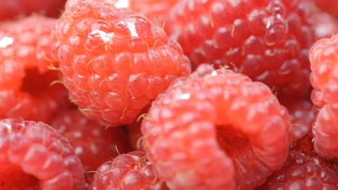 Raspberry 스톡 동영상 90491896