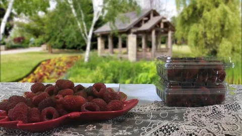 Raspberry Stock Footage 93716764