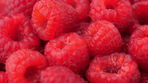 Raspberry Stock Footage 253489318