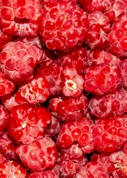 Raspberry forest berry.Raspberry background top view. Stock Photos