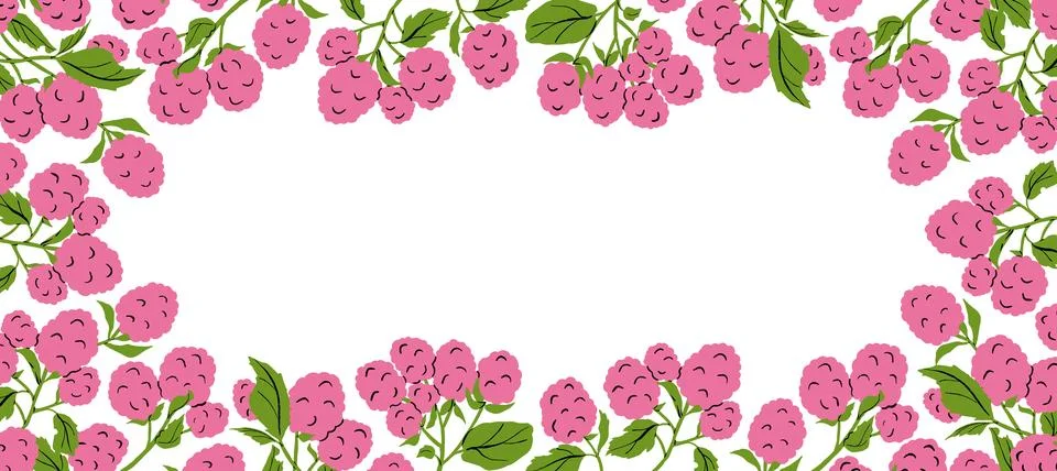 Raspberry Frame Cartoon Colored Vector Illustration 스톡 일러스트