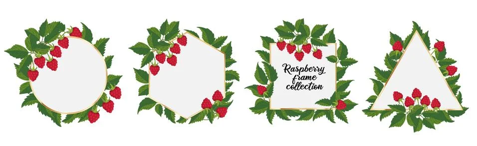 Raspberry frame. Set of golden frames with raspberry sprigs, berries, and lea Stock Illustration